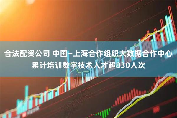 合法配资公司 中国—上海合作组织大数据合作中心累计培训数字技术人才超830人次