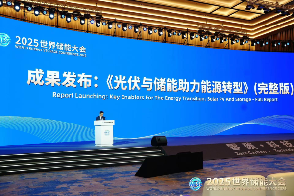 配资股市 首份中国企业深度参与的全球储能报告发布